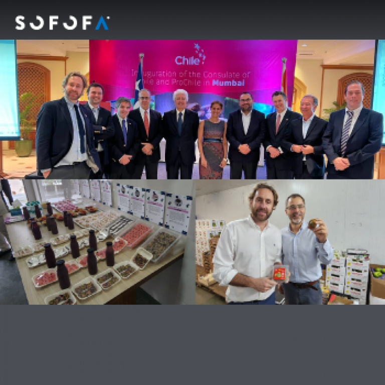 SOFOFA y ProChile se reúnen con autoridades de comercio y sanitarias de la India