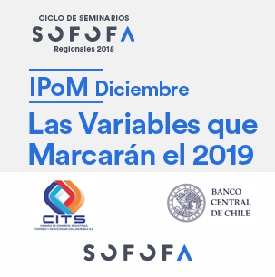 Ipom Diciembre -Ñuble. Las Variables que Marcarán el 2019