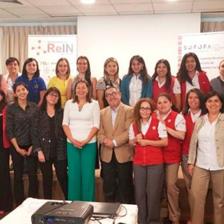 Taller organizado por la Red de Empresas Inclusivas de SOFOFA entregó herramientas para facilitar gestión de una cultura inclusiva en las empresas