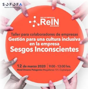 Taller ReIN Coyhaique: Gestión para una cultura inclusiva en la empresa: “Sesgos Inconscientes”