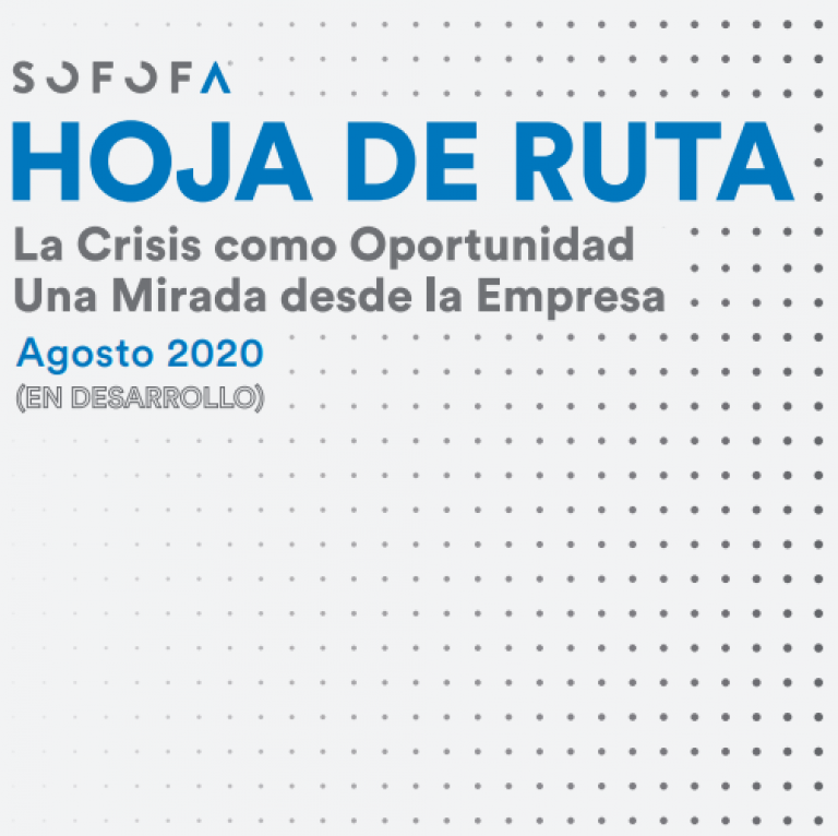 Hoja de Ruta: La crisis como oportunidad, una mirada desde la empresa (agosto 2020)